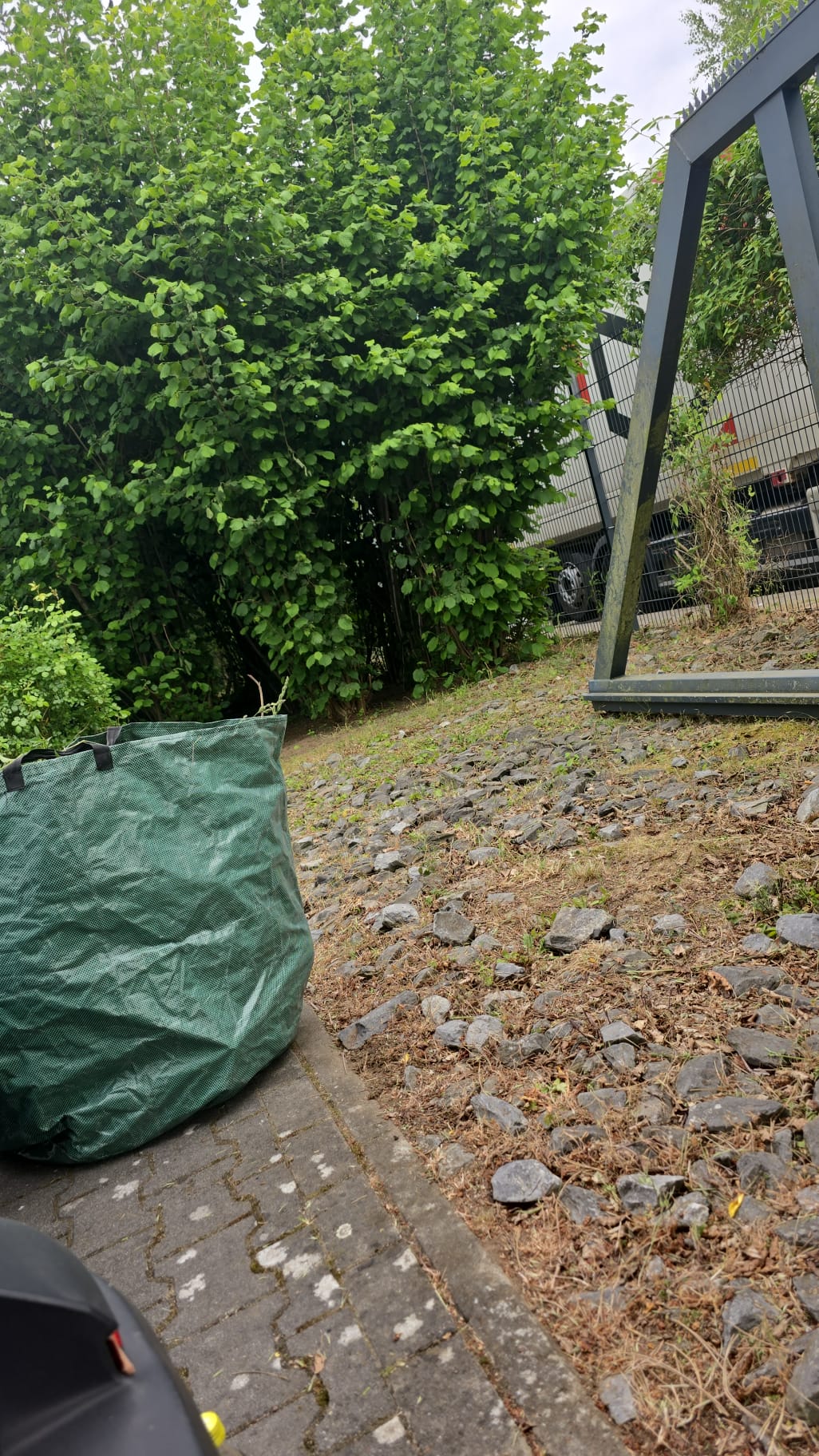 Gepflegter Vorgarten nach Pflegeeinsatz