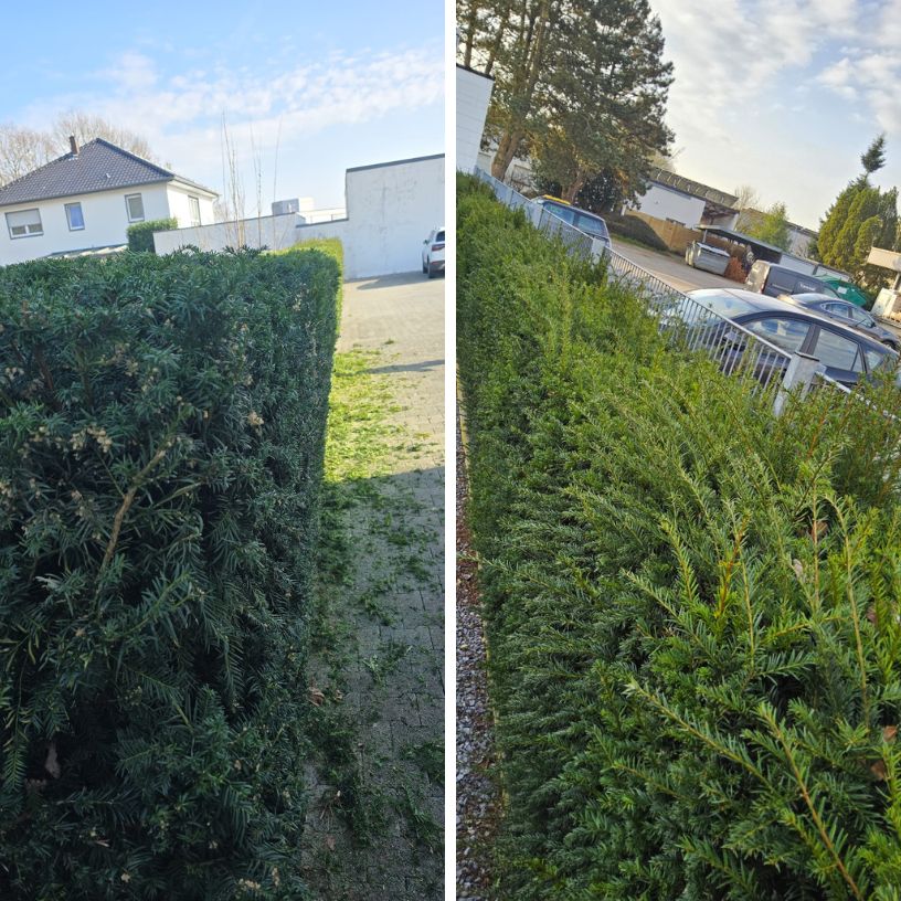 Glänzender Eingang nach intensiver Reinigung