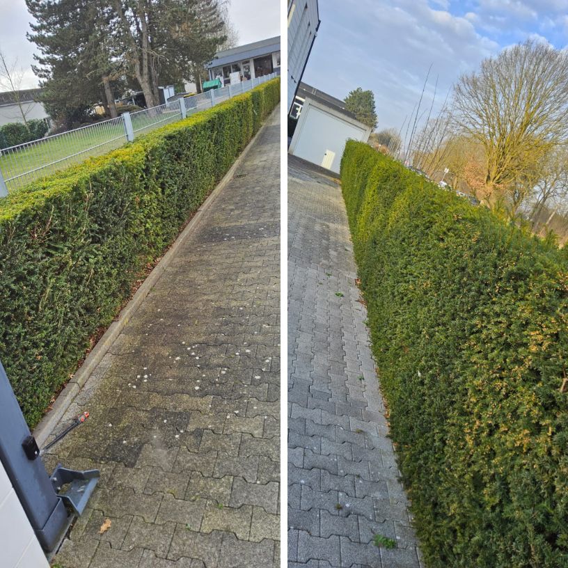 Professionelle Fassadenreinigung im Gange