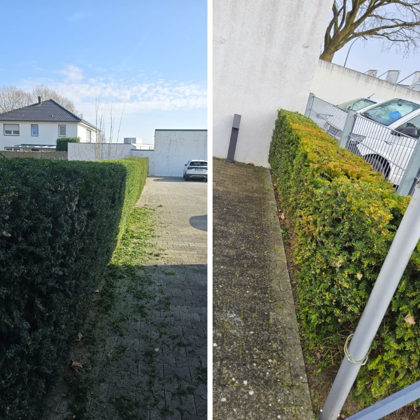 Nachher: Frisch gereinigte Außenwand