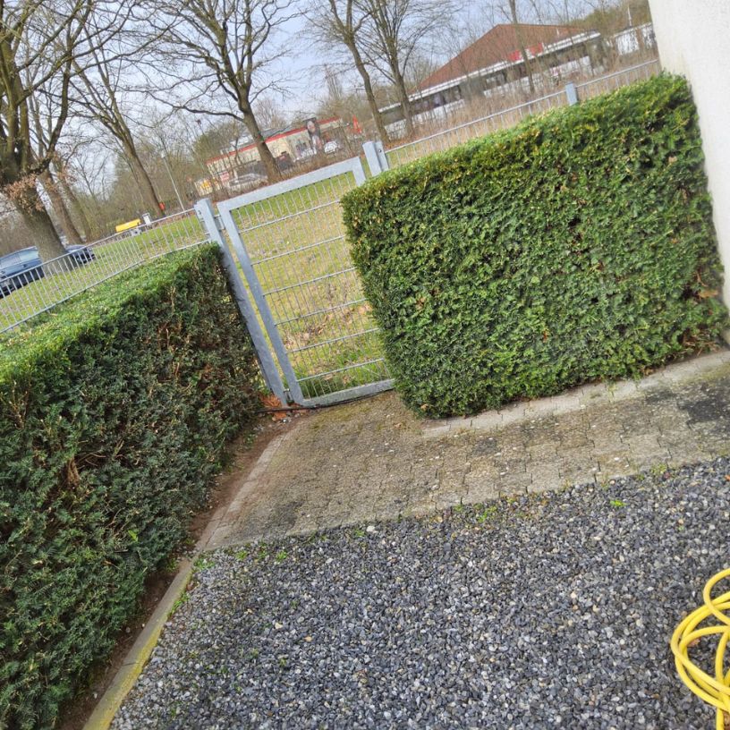 Detailreinigung von Heizkörpern und Ecken