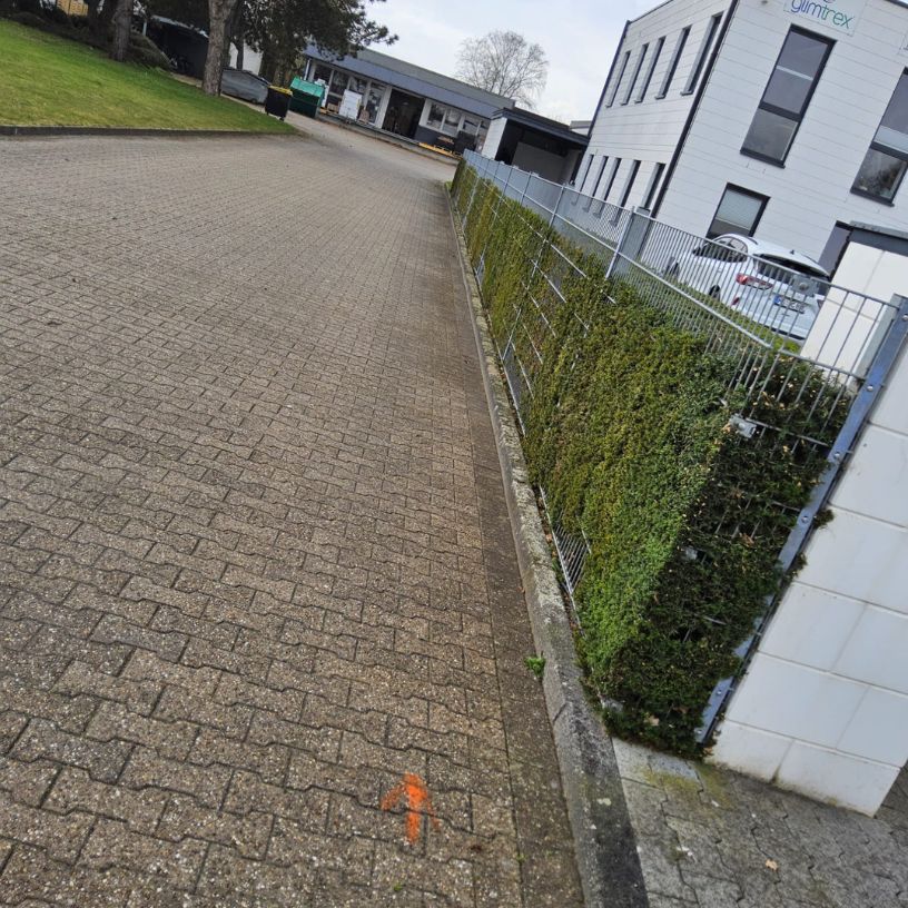 Grünpflege: Rasenmähen im Sommer