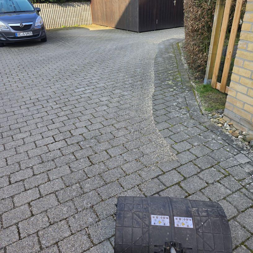 Heckenschnitt und Formschnitt