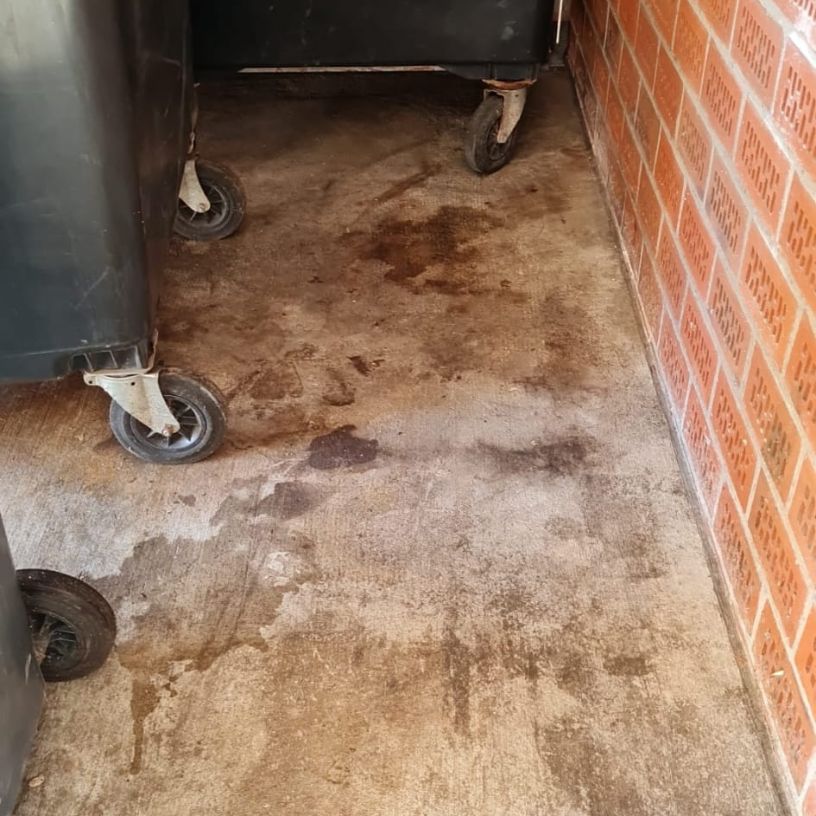 Zufriedener Kunde nach Reinigung