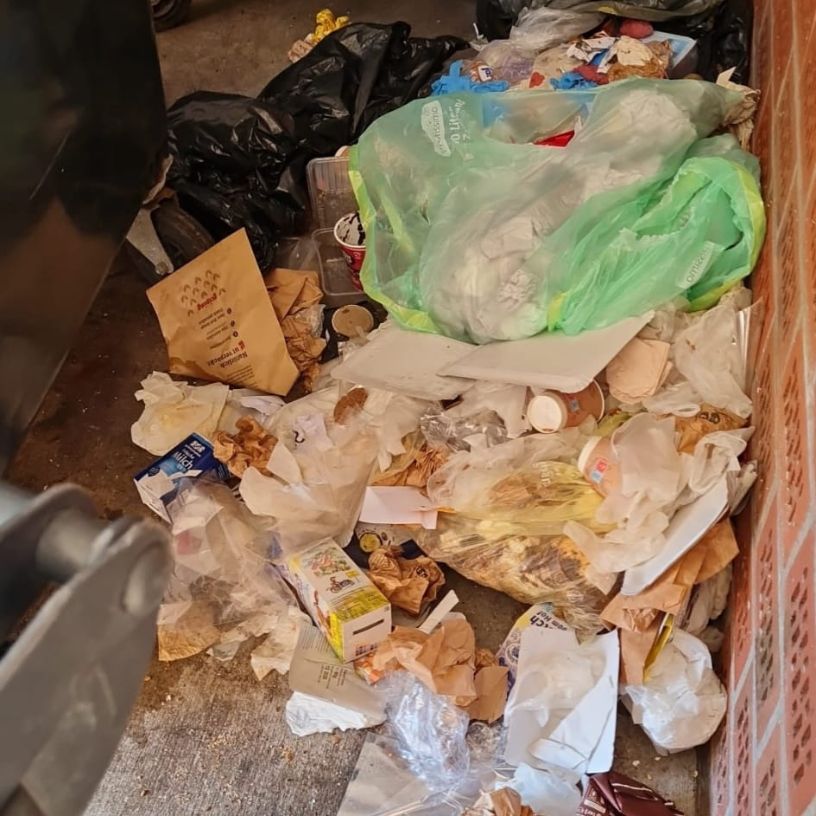 Komplette Wohnanlage frisch gereinigt