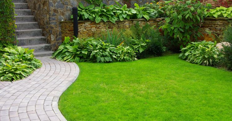 Gartenpflege Münster – schöner Garten ohne Stress